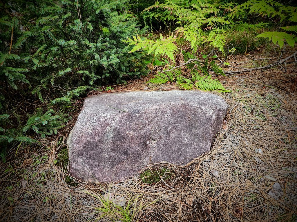 20240905_154344~2.jpg