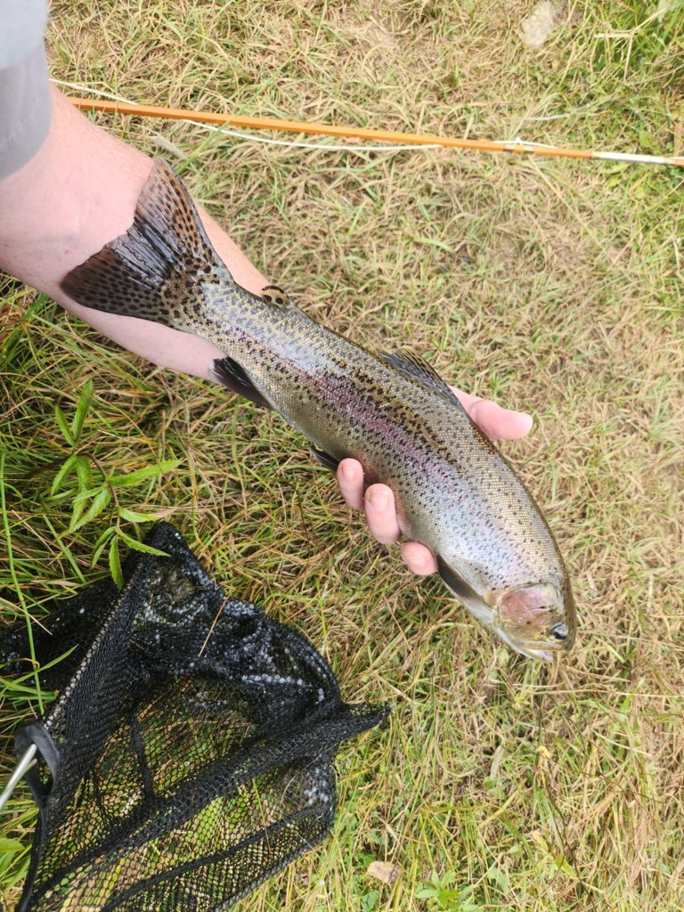 20240909_122557.jpg