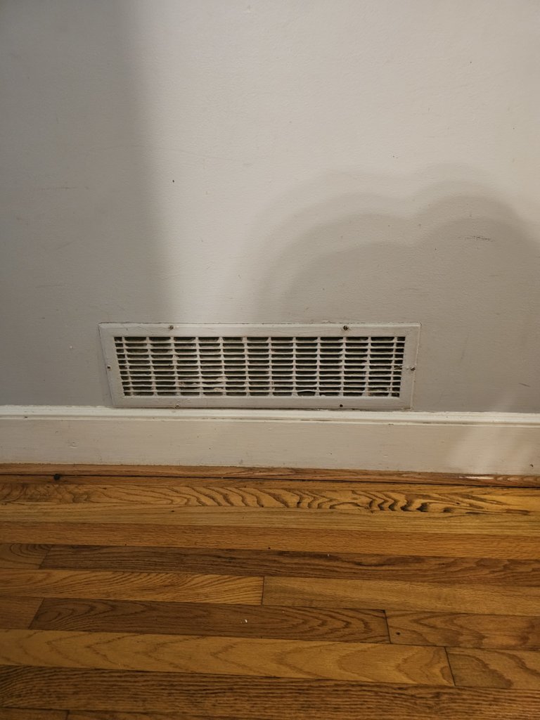 20241006_115238.jpg