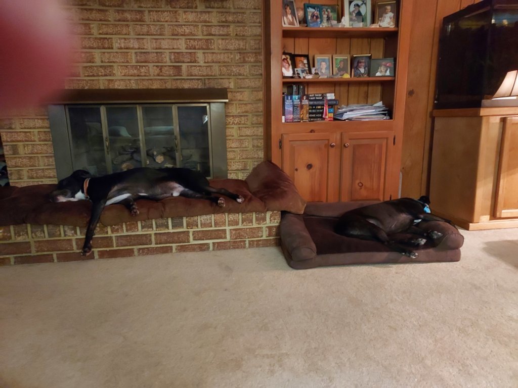 20241012_201345.jpg