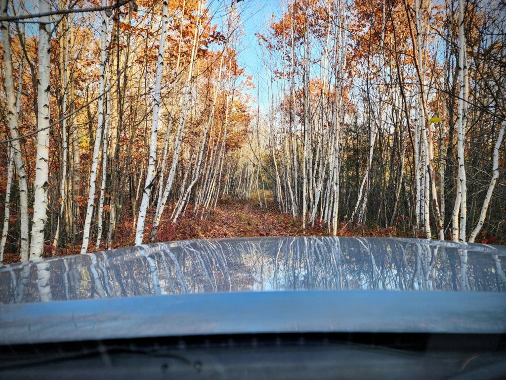 20241019_085358~2.jpg