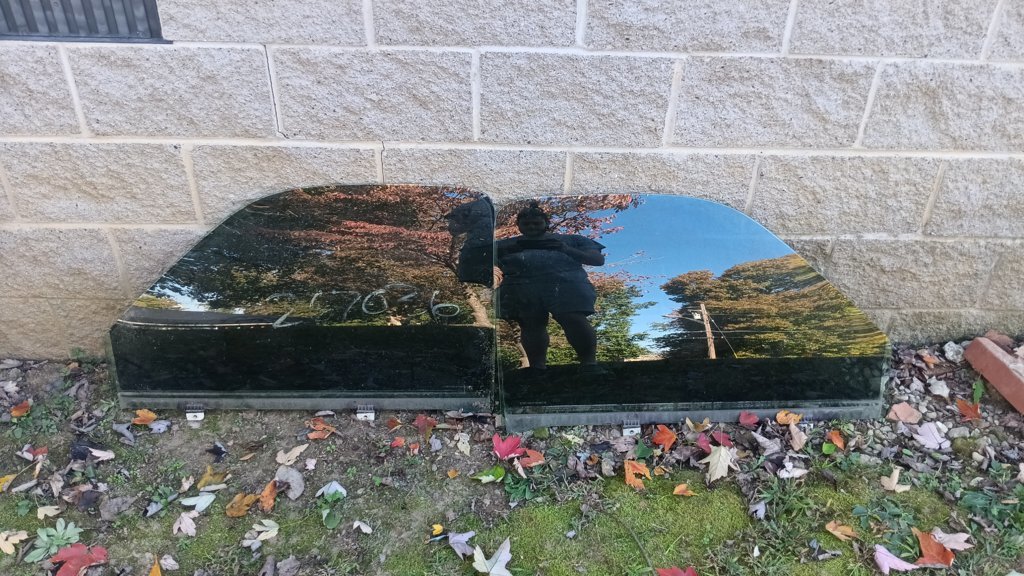 20241022_144612.jpg