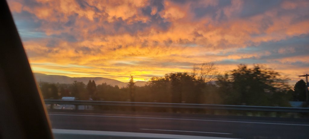 20241025_072459.jpg