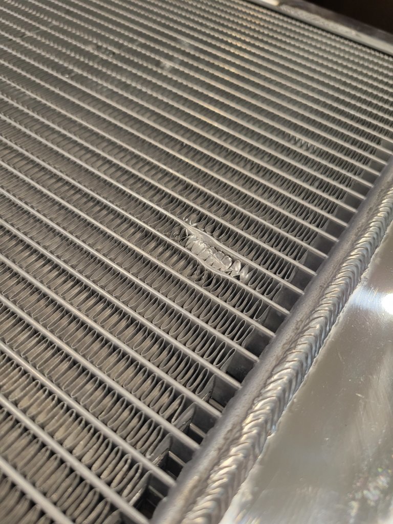 20241101_125558.jpg