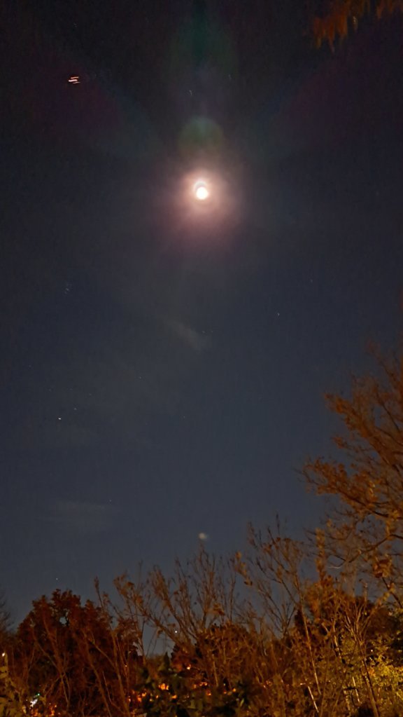 20241114_201607.jpg