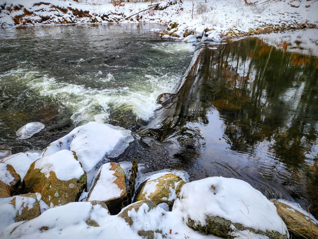 20241130_101407~2.jpg