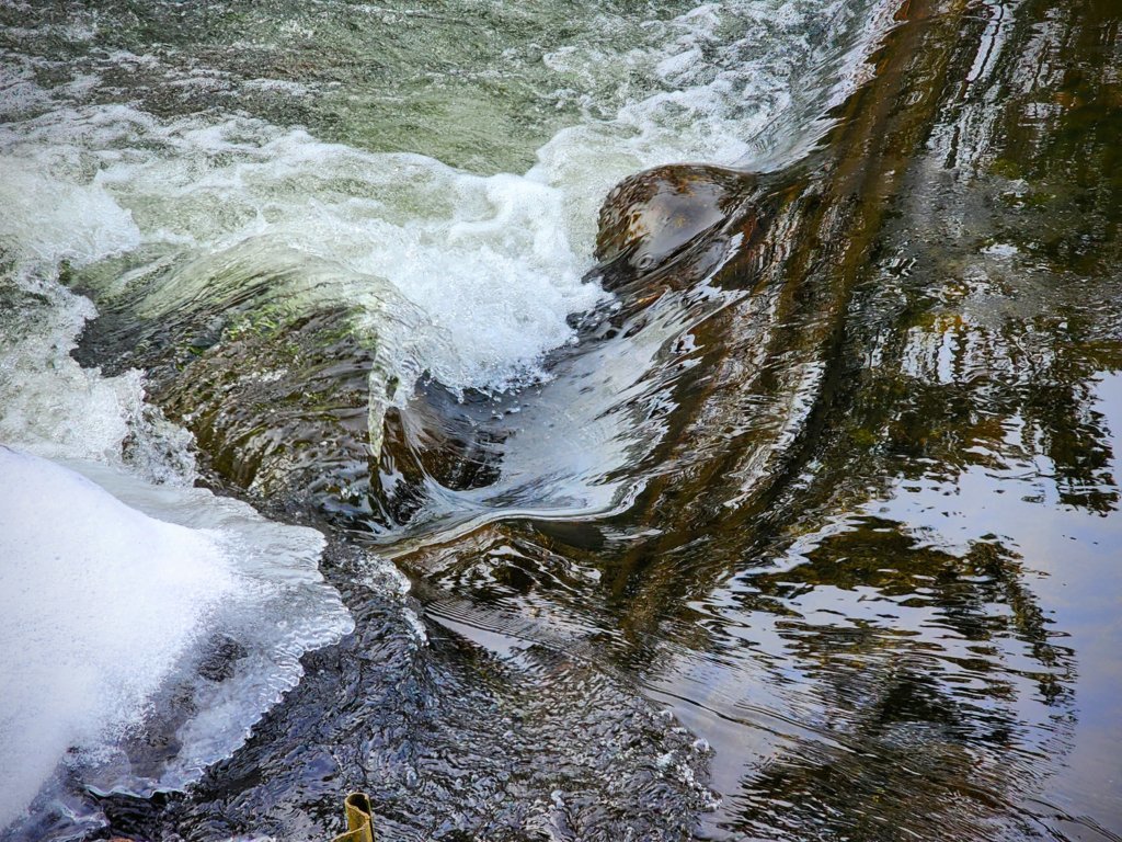 20241130_101412~2.jpg