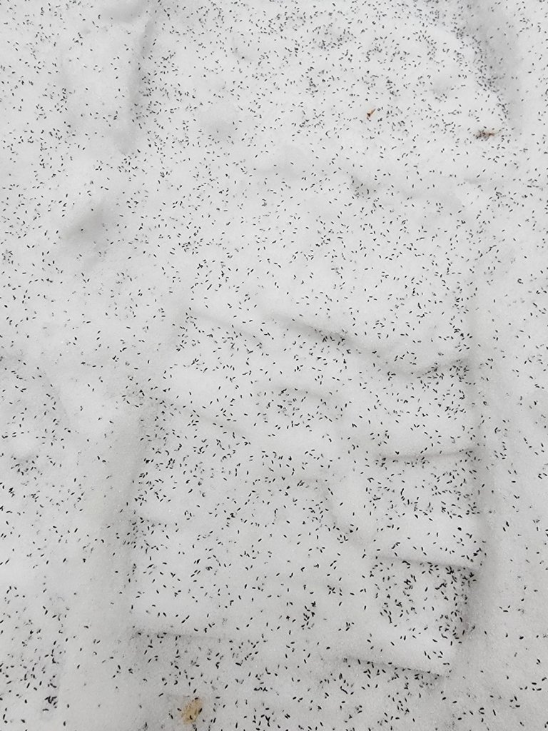20241223_114452.jpg