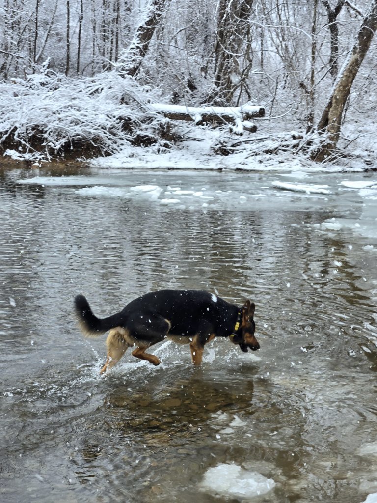20250119_153823.jpg