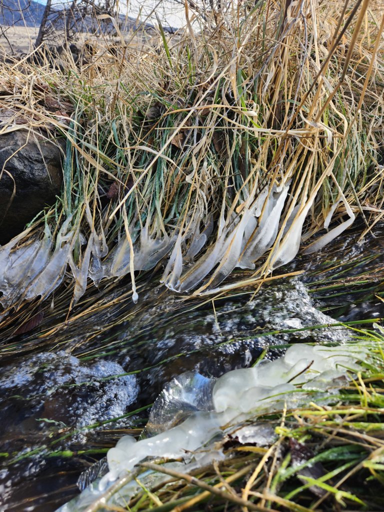 20250209_120824.jpg