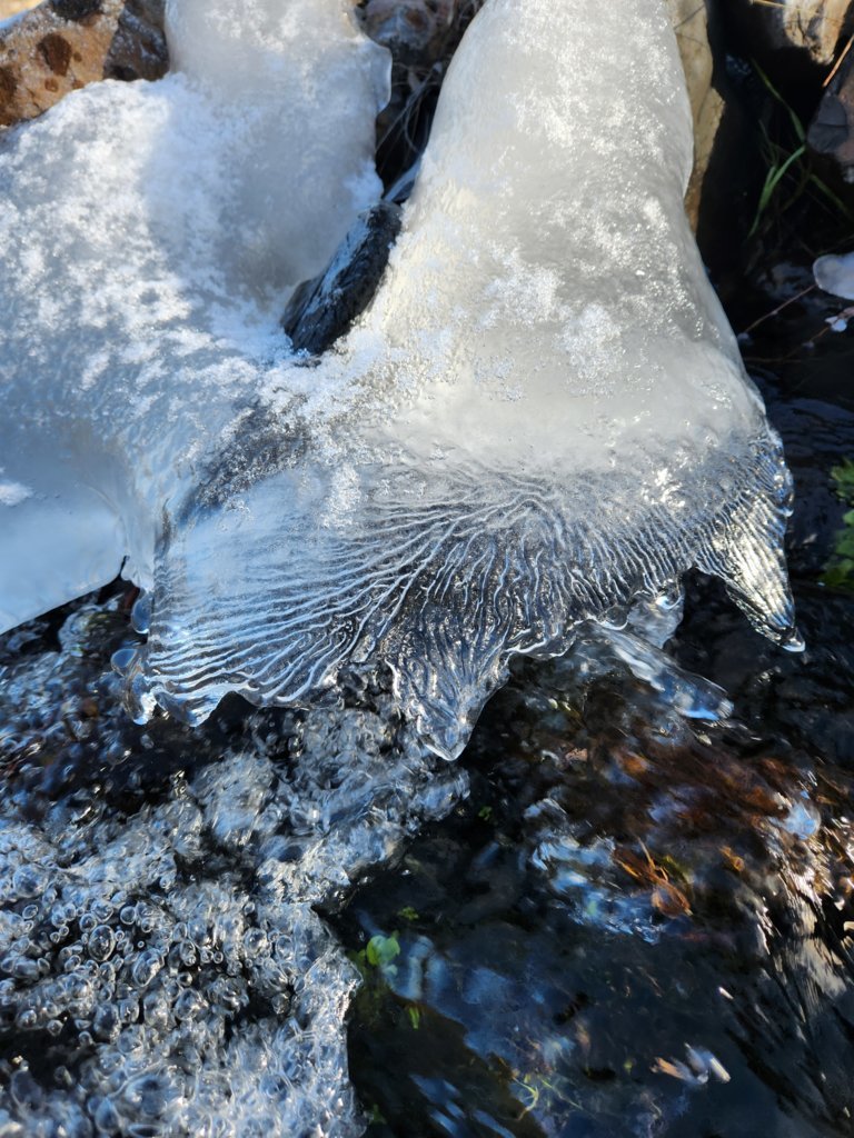 20250209_131119.jpg