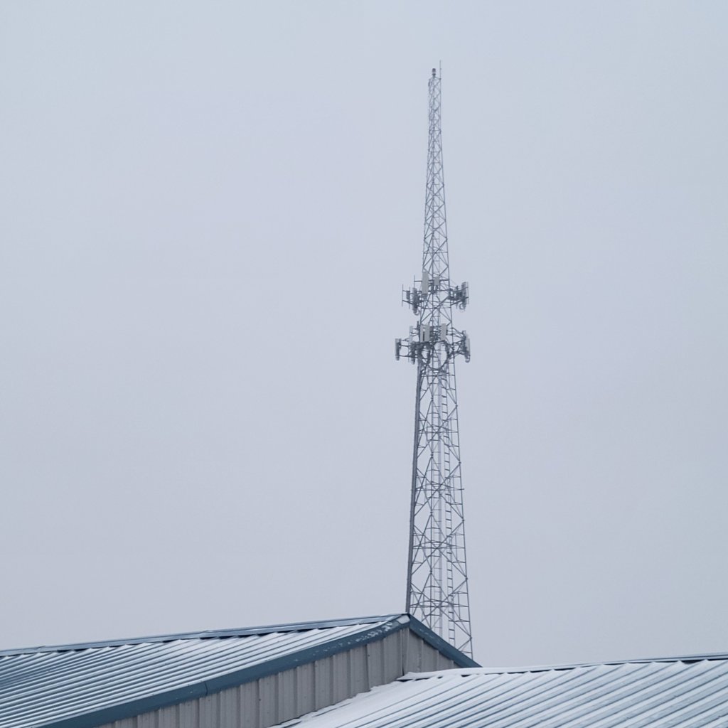 20250219_073242.jpg
