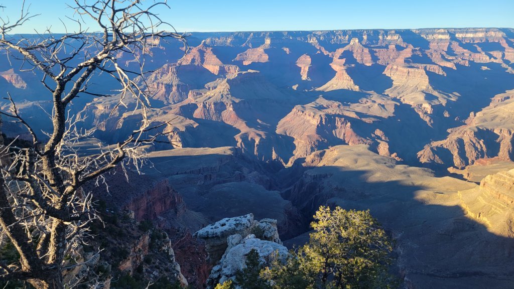 20250224_171445.jpg