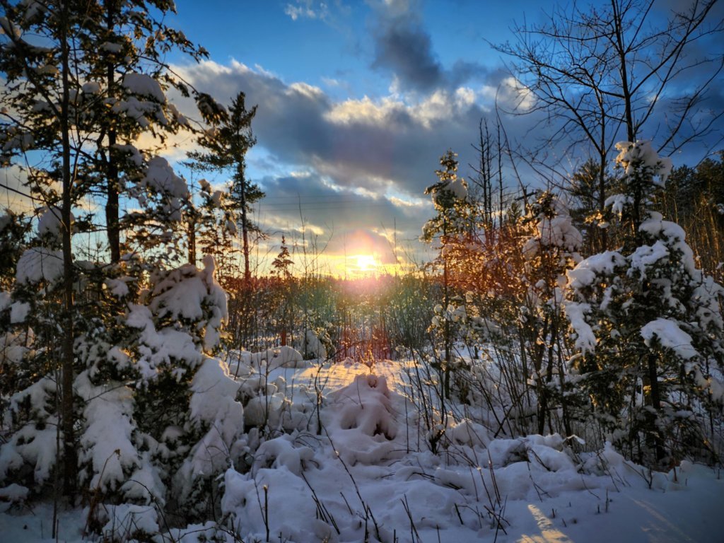 20250306_172159~2.jpg