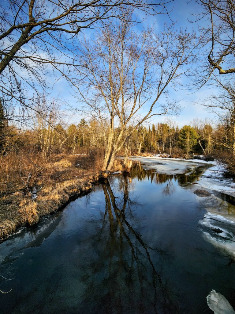 20250314_175752~2.jpg