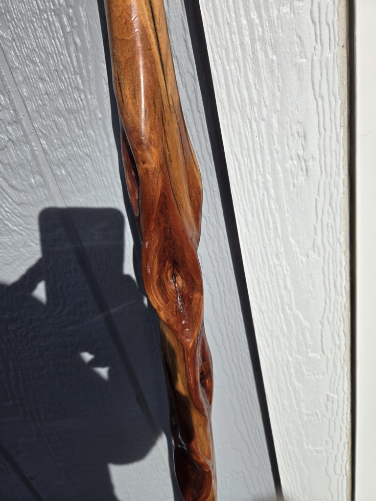 20250317_172014.jpg