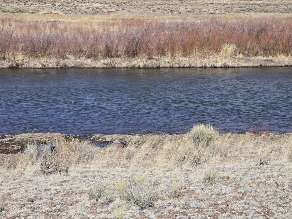 20250322_113327.jpg