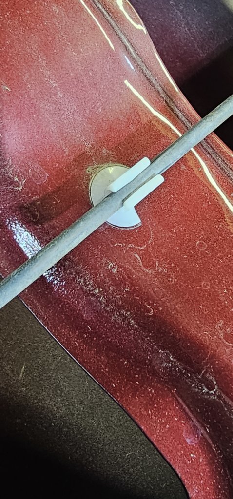 20250326_190711.jpg
