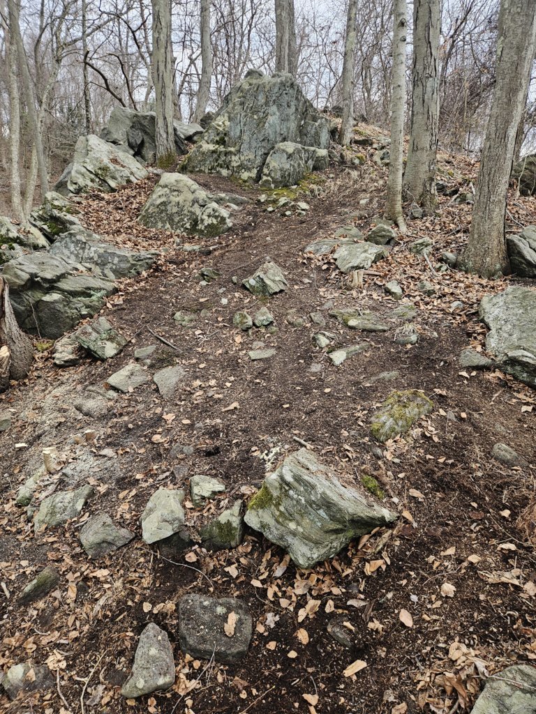 20250329_135057.jpg