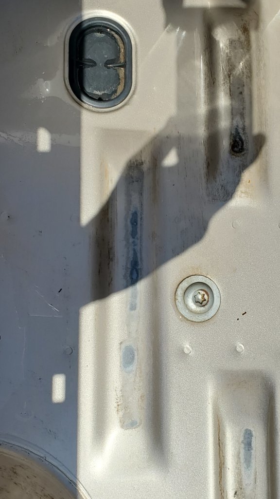 20250402_135358.jpg