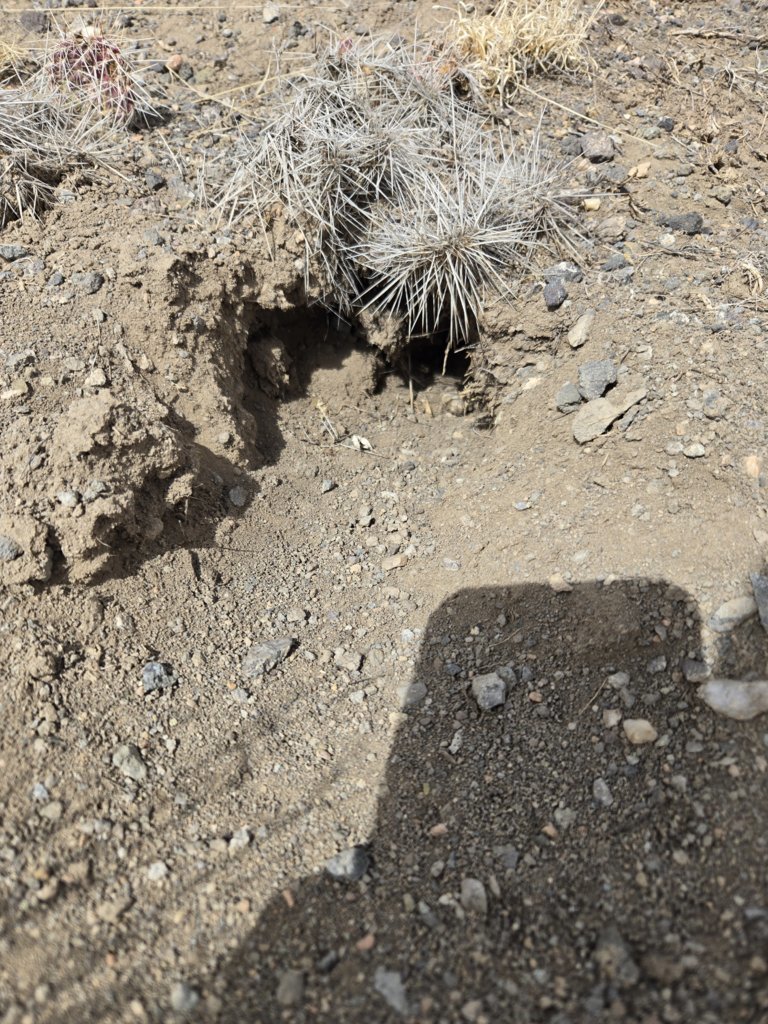 20250404_121428.jpg