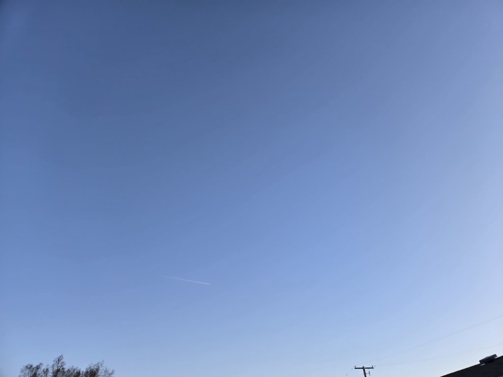 20250407_192354.jpg