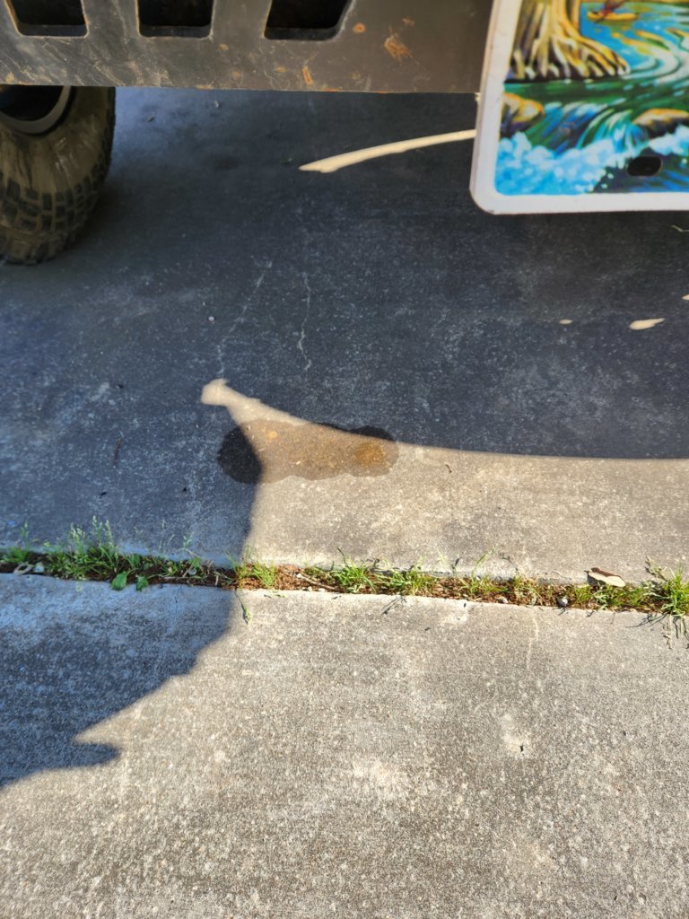 20250408_170954.jpg