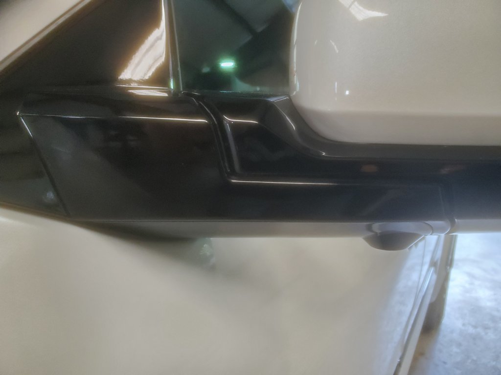 20250425_164406.jpg