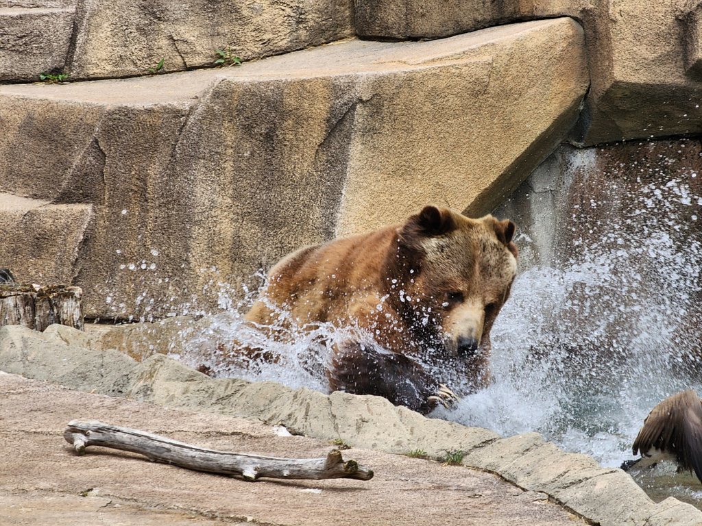 20250426_113435(0).jpg