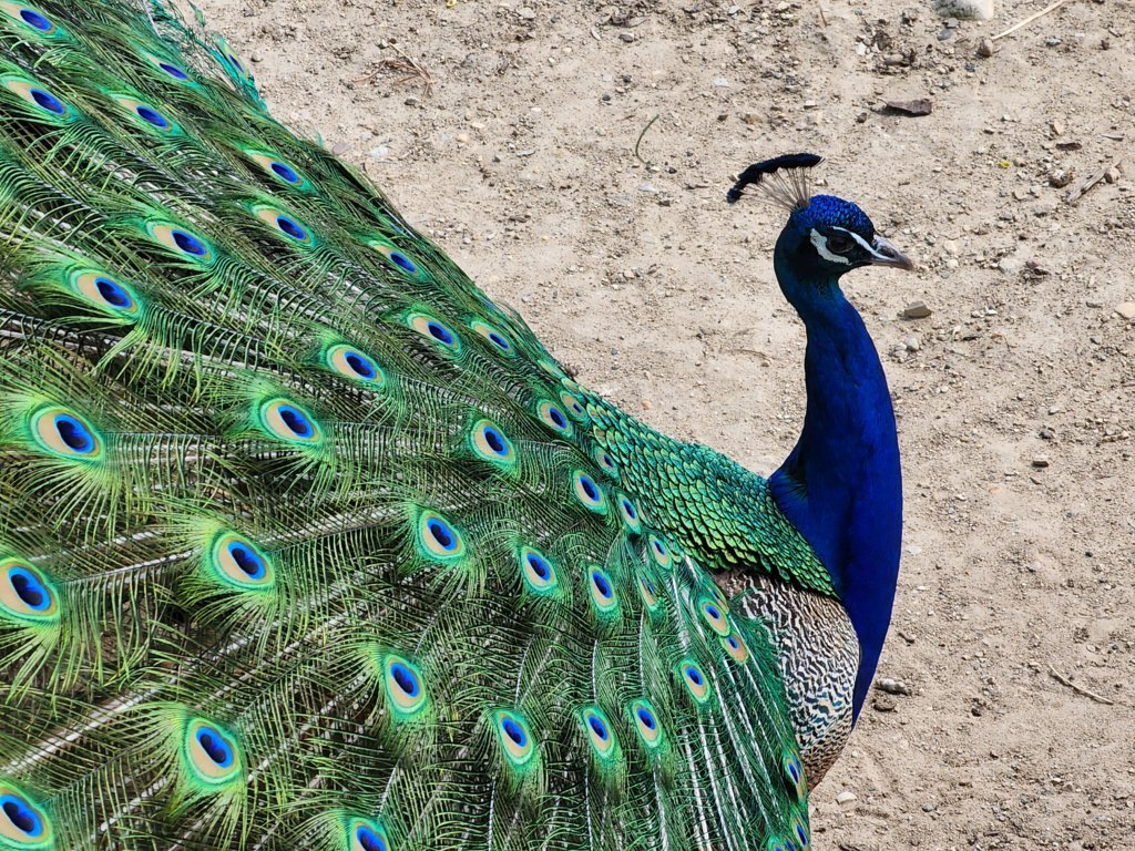20250426_122223.jpg