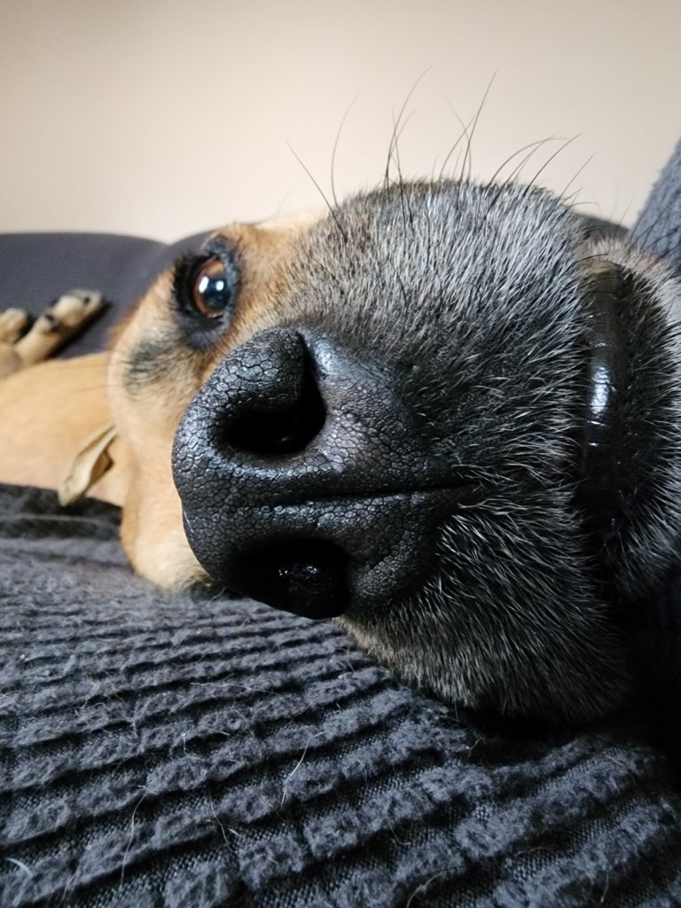 20250514_153314.jpg
