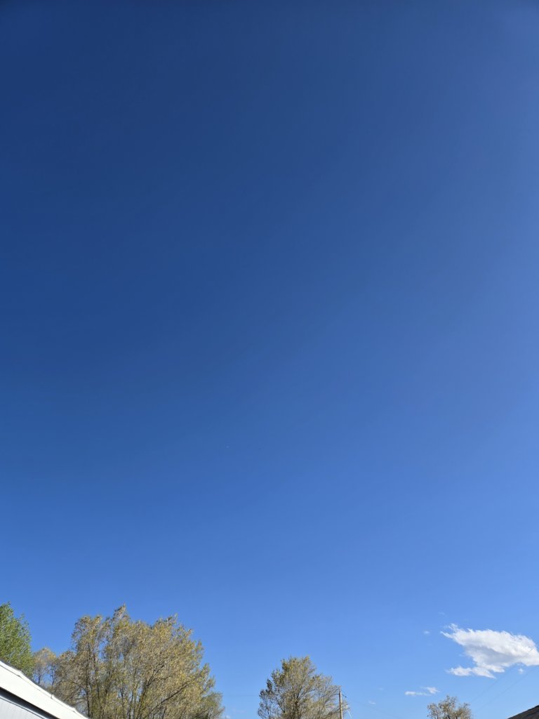 20250520_175834.jpg