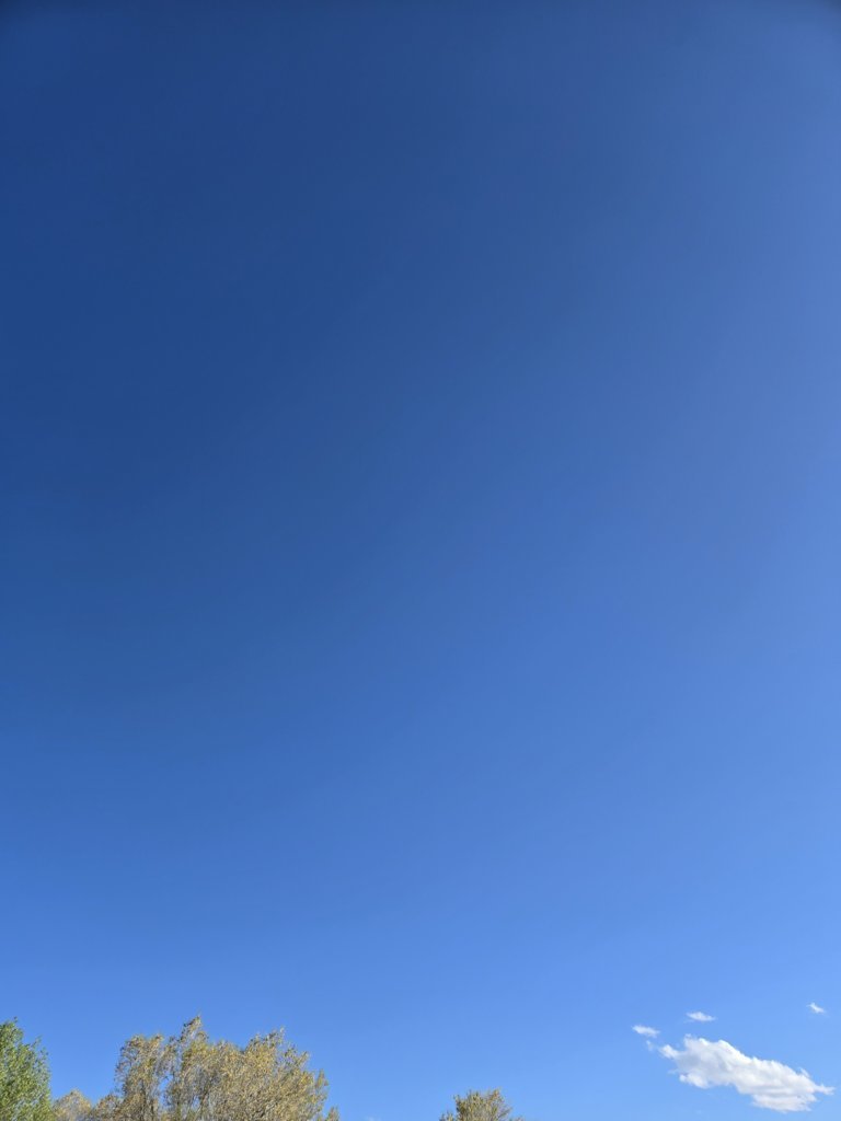 20250520_180127.jpg