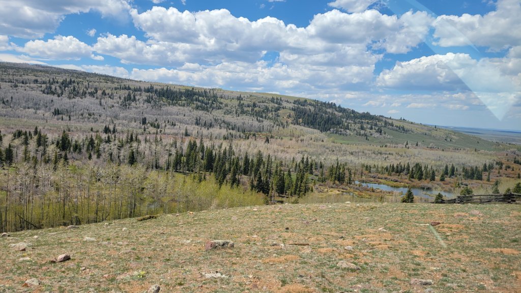 20250522_135507.jpg