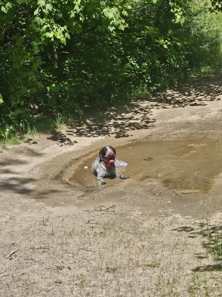 20250606_132253.jpg