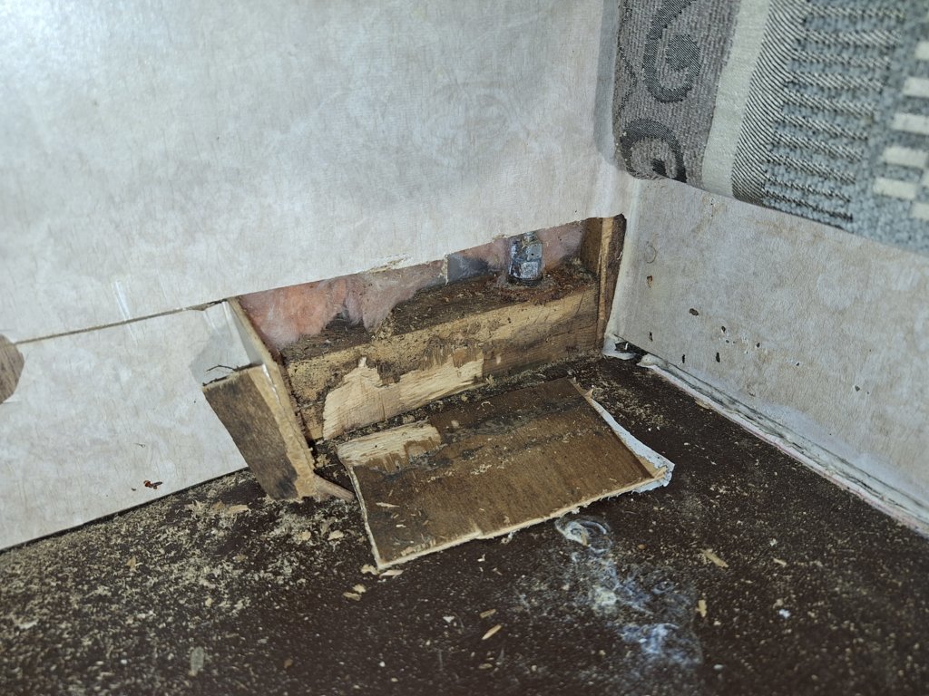 20250614_154731.jpg