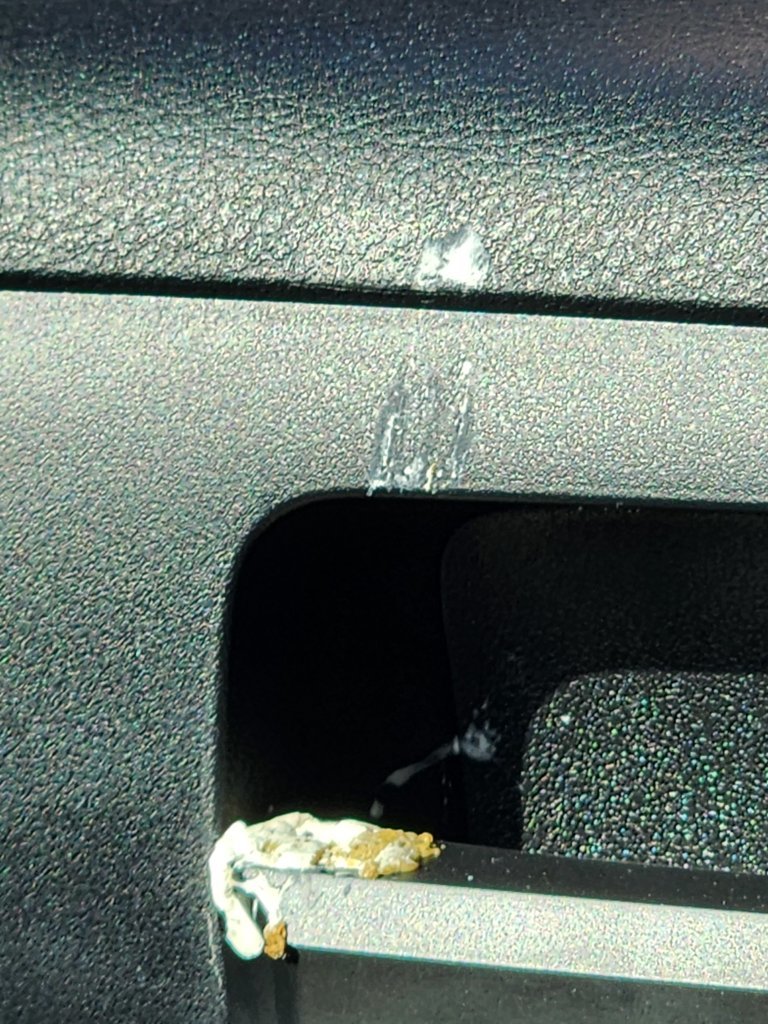20250617_083457.jpg
