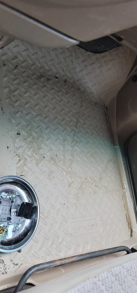 20250617_105727.jpg