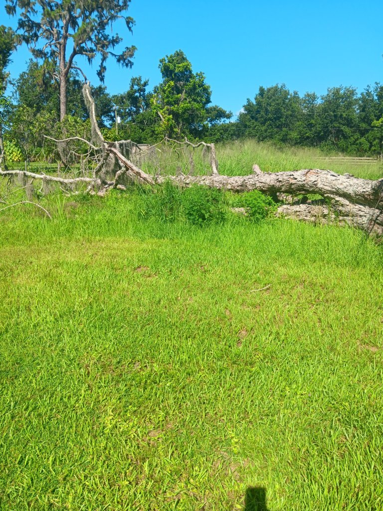 20250621_100820.jpg