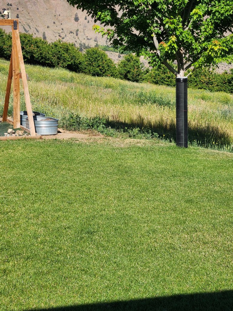 20250629_083621.jpg