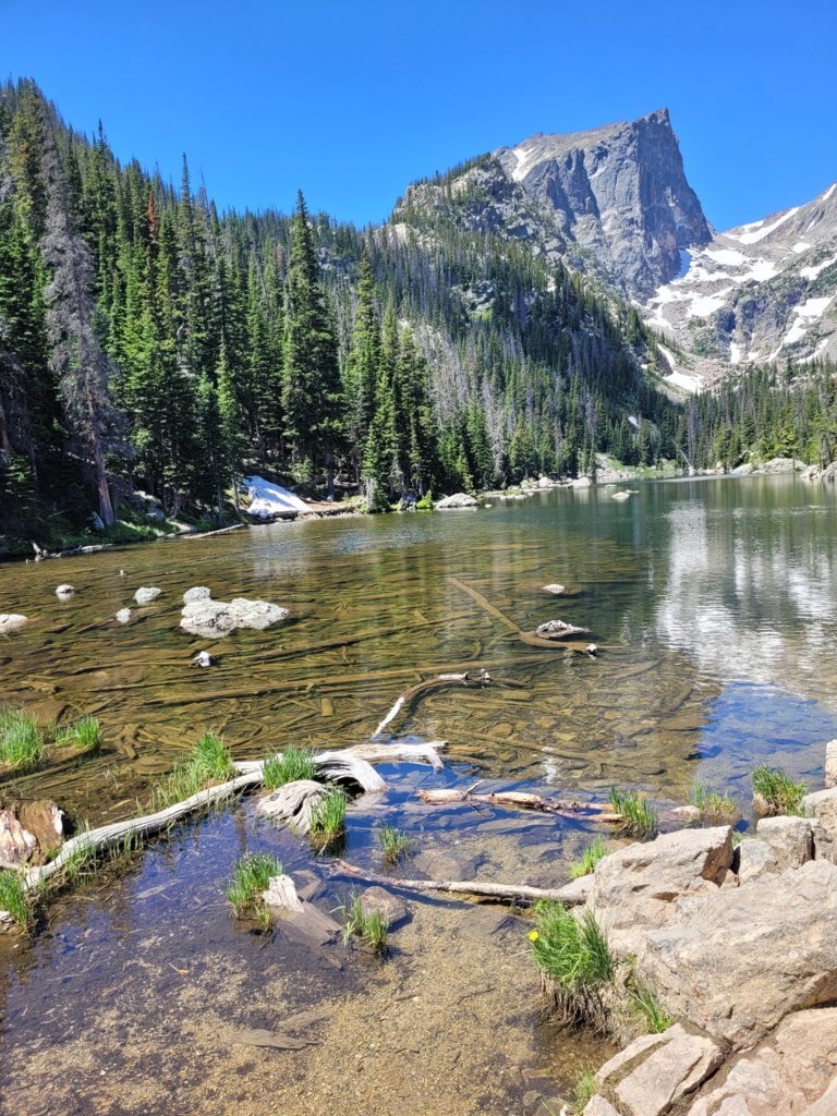20250630_115052.jpg