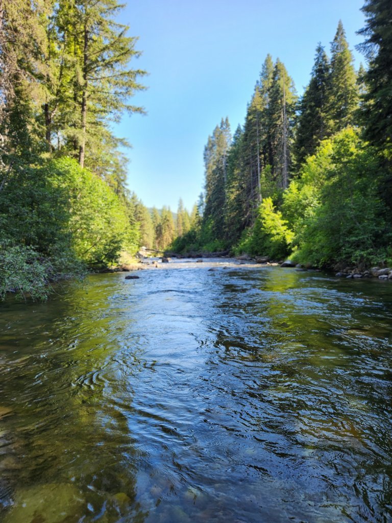 20250708_161831.jpg