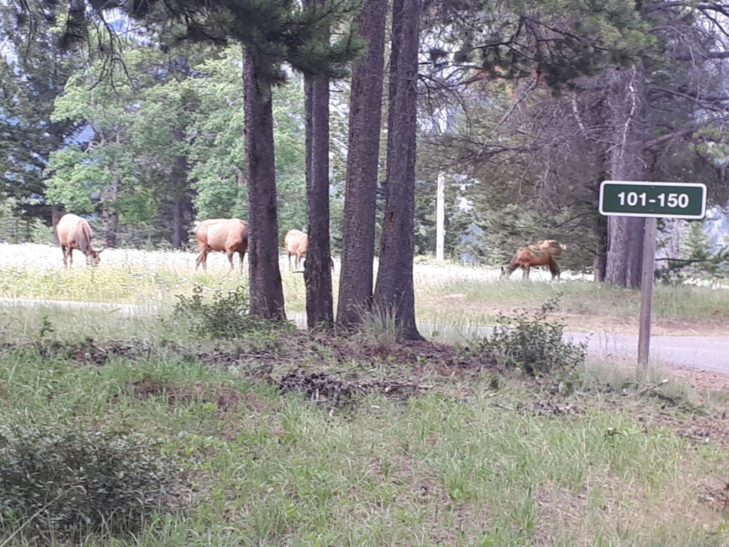 20250713_065026.jpg