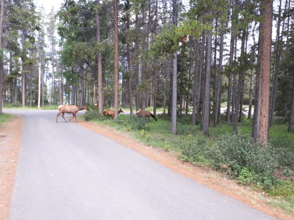 20250713_065131.jpg