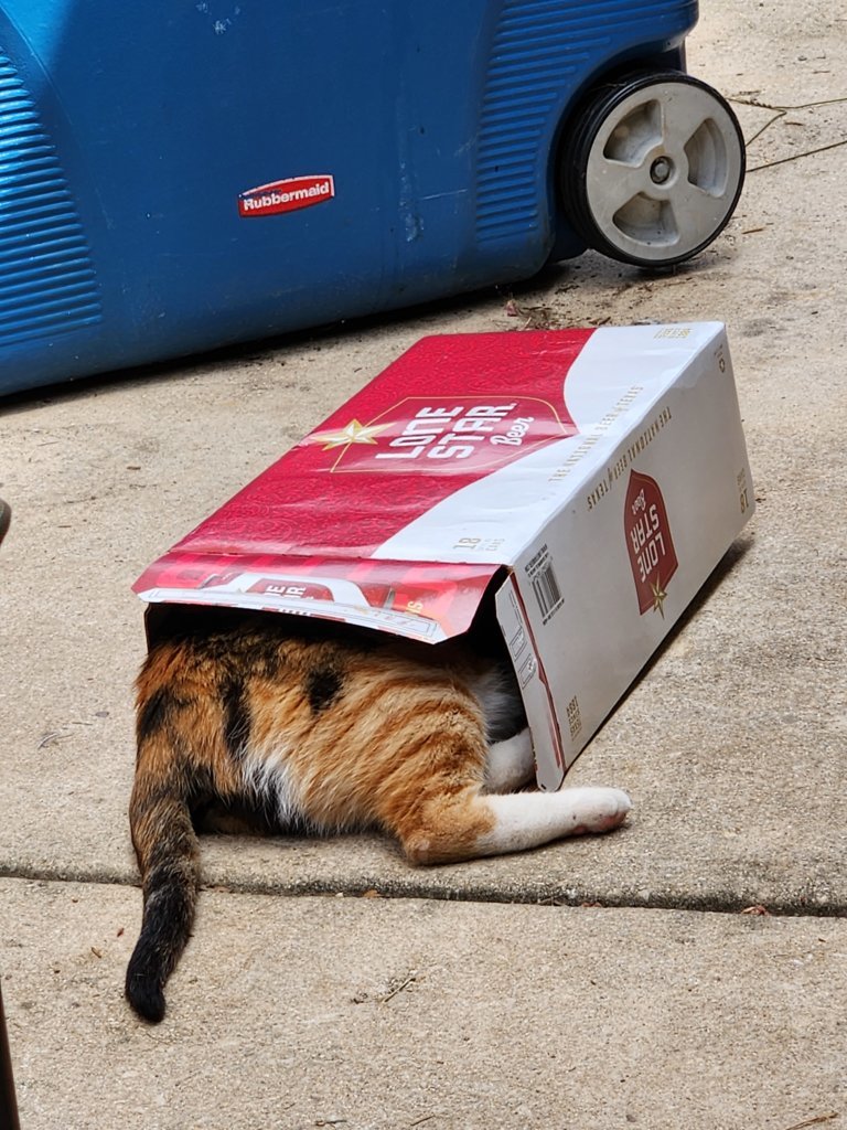 20250726_122705.jpg