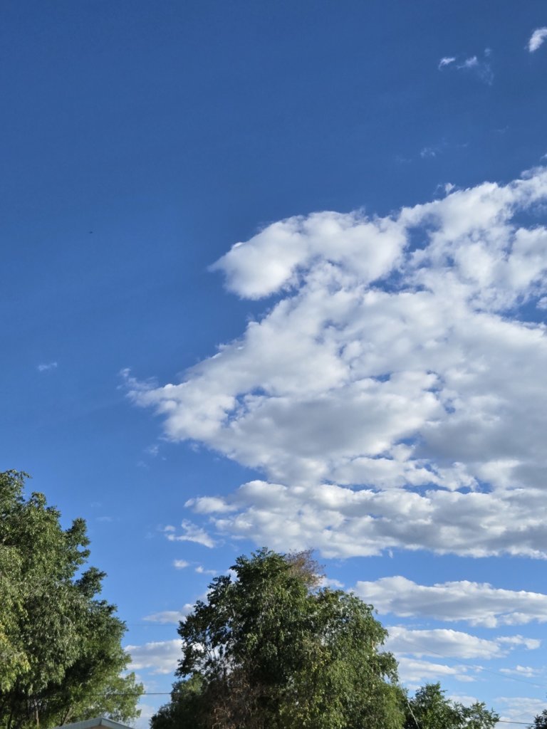 20250727_182030.jpg