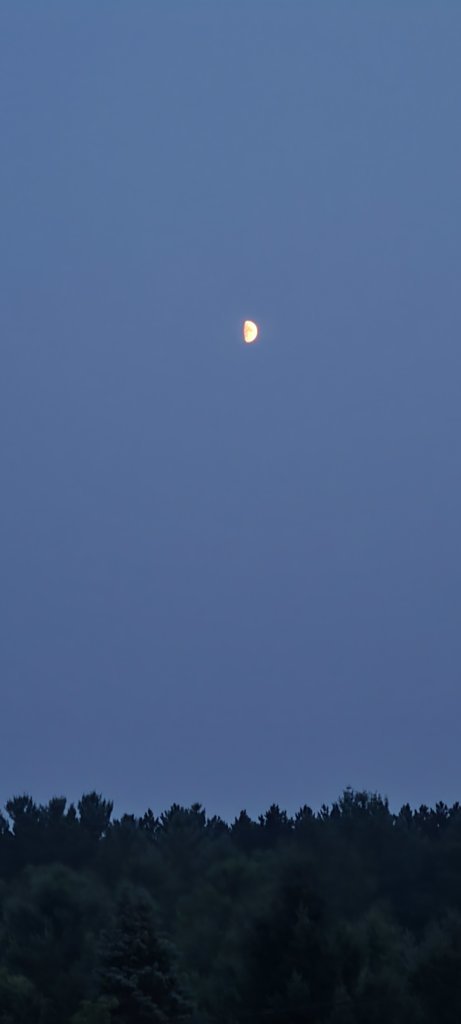 20250802_213053.jpg