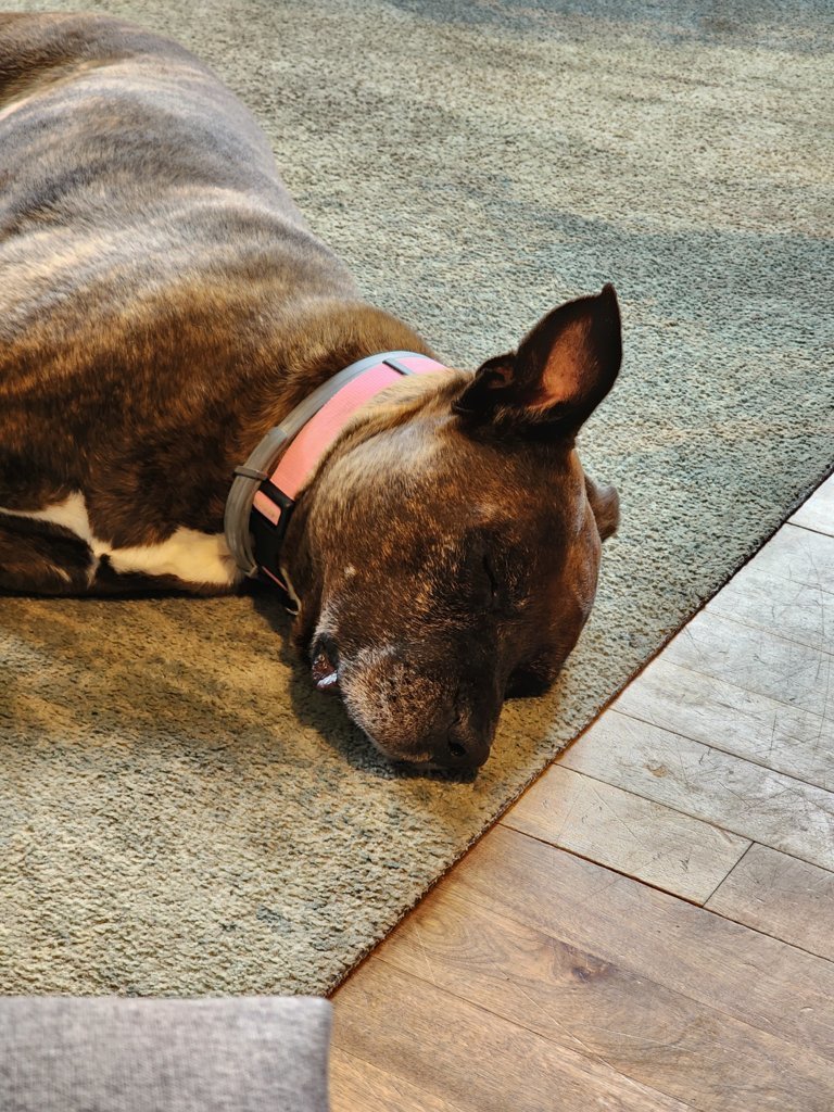 20250806_162633.jpg