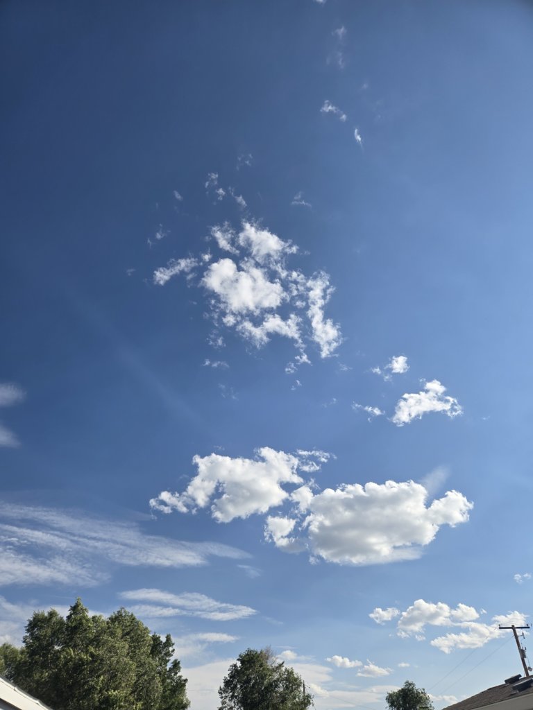 20250808_165725.jpg