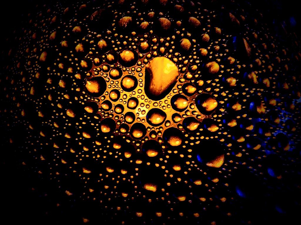 20250809_073145~2.jpg